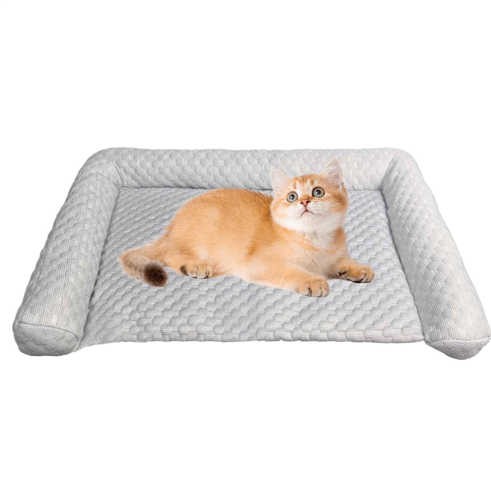 Tapis de refroidissement pour chiens idéal en camping et voyage avec votre chiot