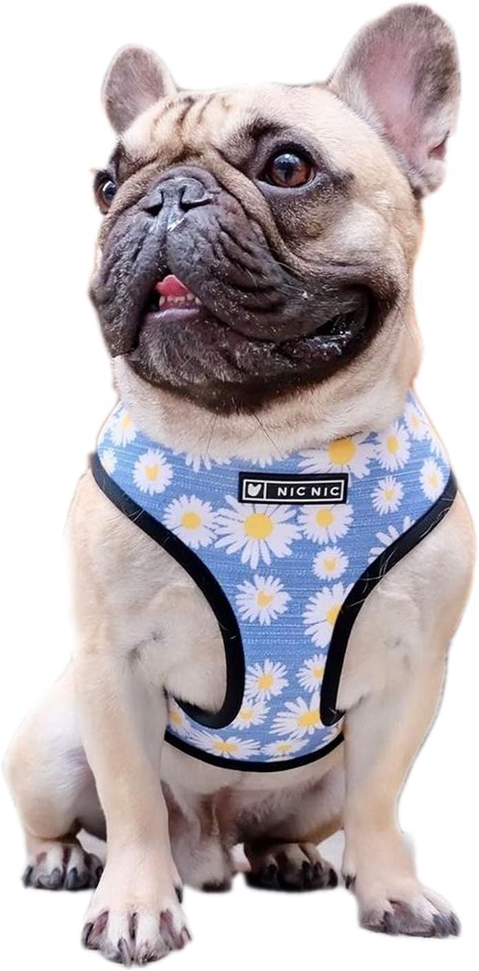 french bulldog no pull harness