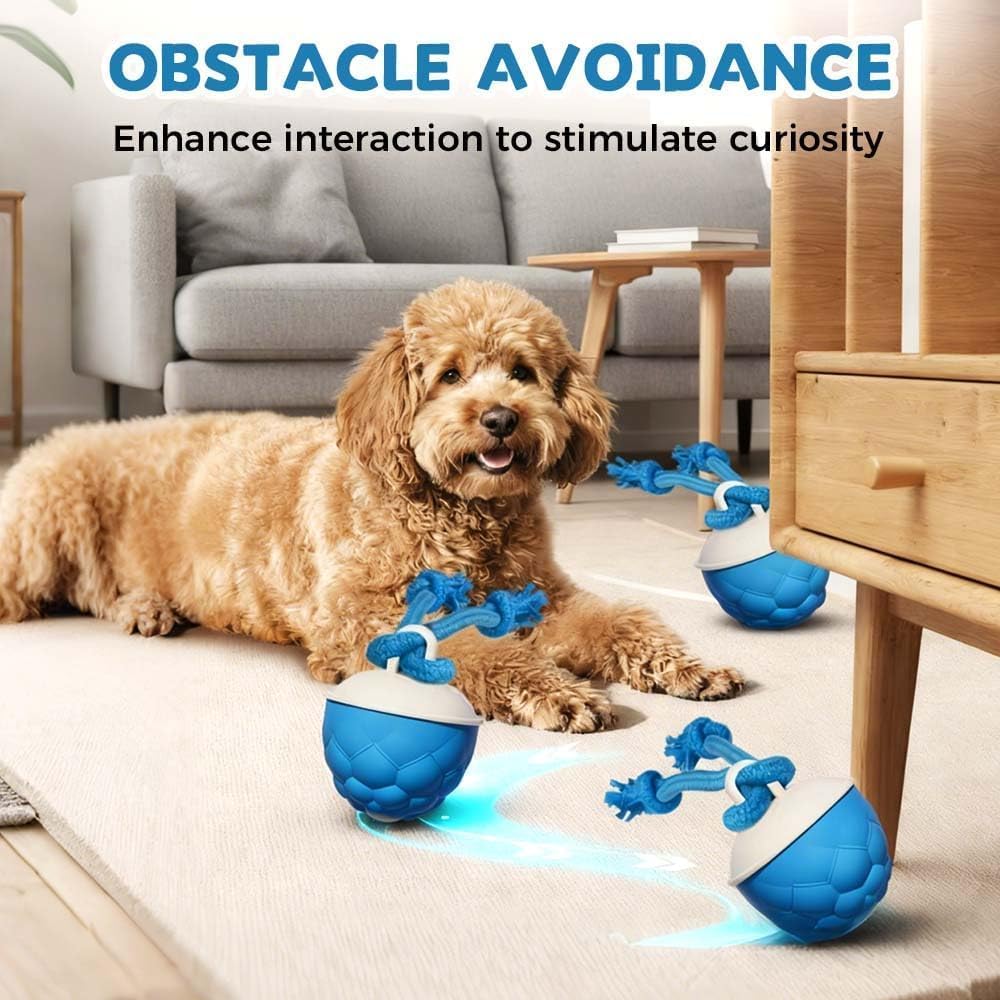 Interactive Dog Toys Motion Activated Automatic Rolling Ball Toys for Small/Medium/Large Dogs Balls for Boredom to Keep Them Busy with USB Rechargeable(Blue) - Image 5
