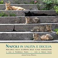 Napoli in salita e discesa. Percorso alla scoperta delle scale napoletane 8874211325 Book Cover