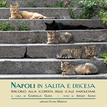 Perfect Paperback Napoli in salita e discesa. Percorso alla scoperta delle scale napoletane [Italian] Book