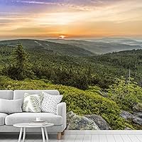 Wall Mural Forest in Fog Removable Self-Adhesive Wallpaper Wall Decoration for Bedroom Living Room - 66x96 inches