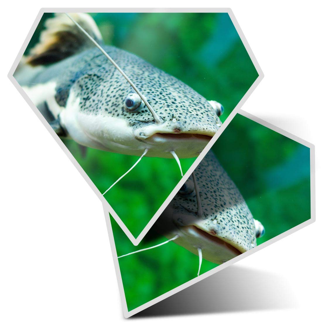 2 x Diamond Stickers 7.5 cm - Red Tailed Catfish Fun Decals for Laptops,Tablets,Luggage,Scrap Booking,Fridges, #16677