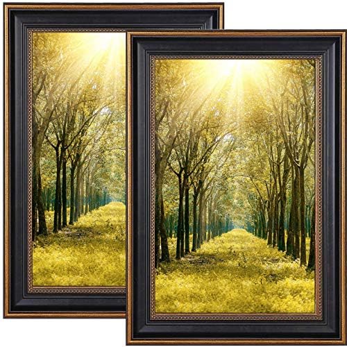 Space Art Deco, 11x17 Black Picture Frame - Photo/Picture/Poster Display - Sawtooth Hangers - Wall Mount - Landscape/Portrait - Shatter-Resistant Glass (Ornate Gold Design, 2 Pack)