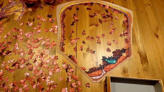 Amazon.com: Genius Games Human Abdomen Anatomy Jigsaw Puzzle | Dr