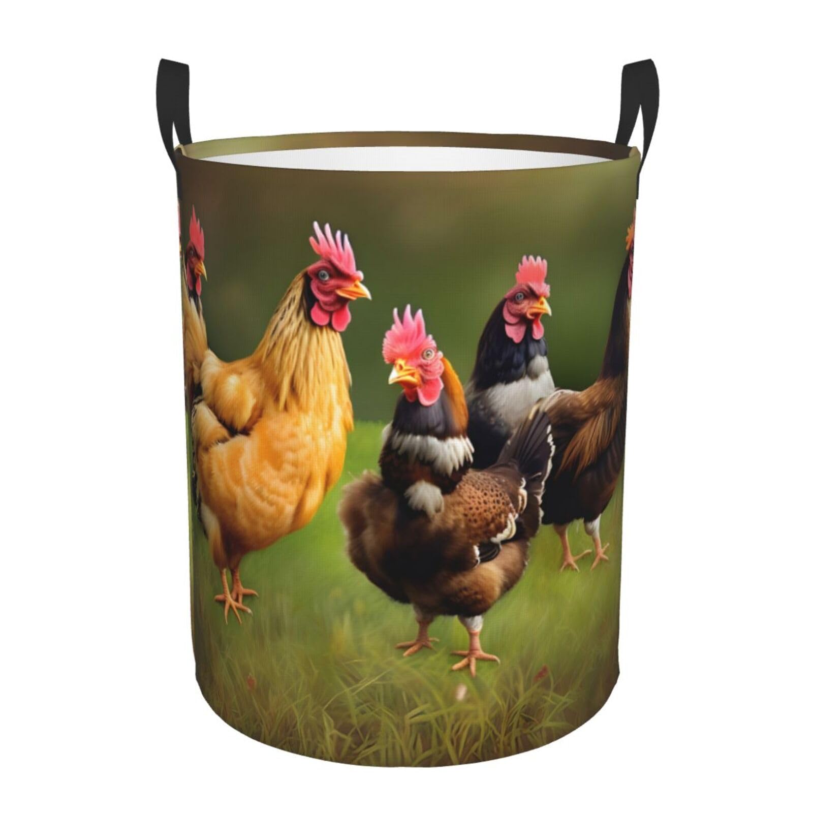 M Collapsible Round Rooster Print Laundry Hamper
