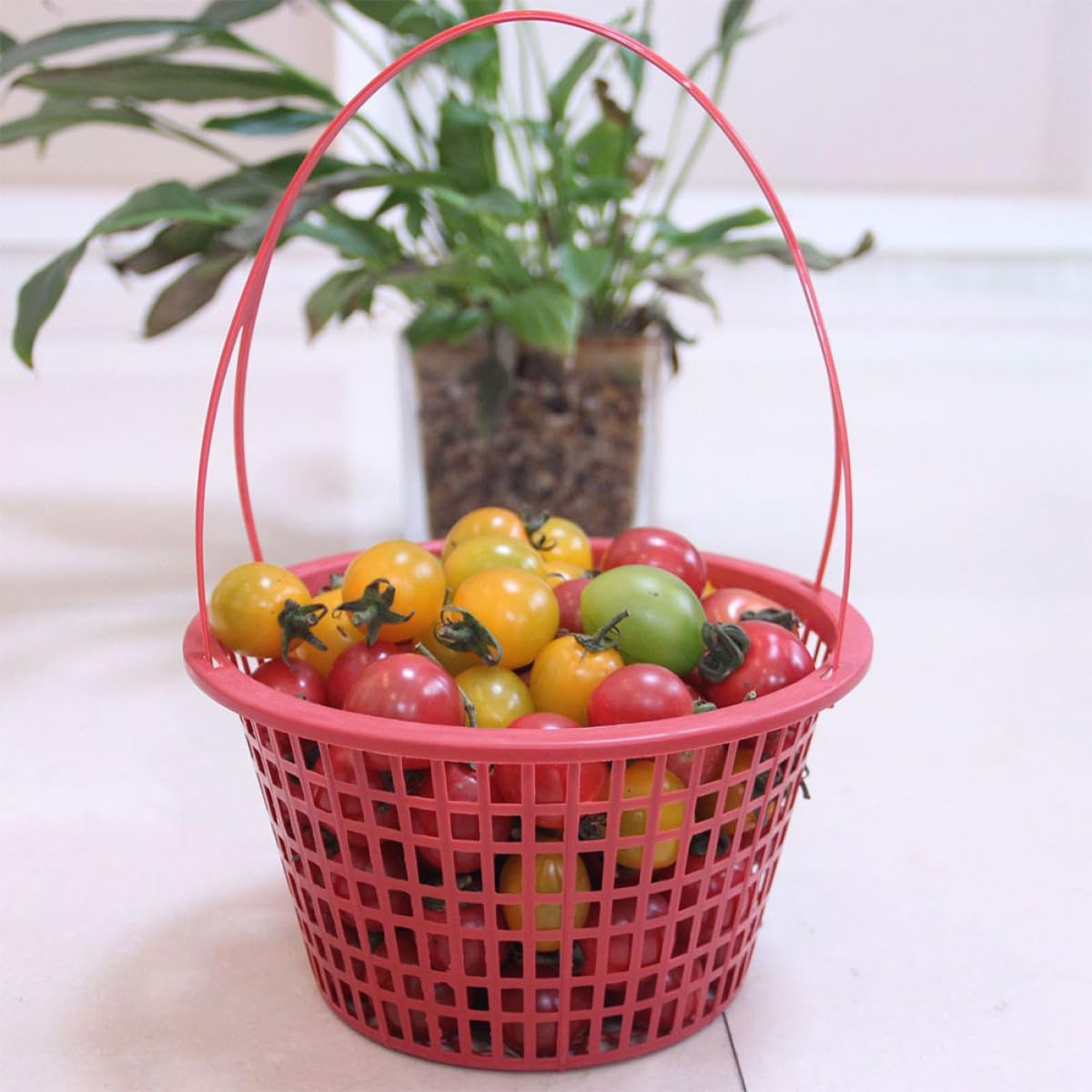 Cestino Rotondo per Raccolta Frutta 10 Pezzi in Plastico Rosso