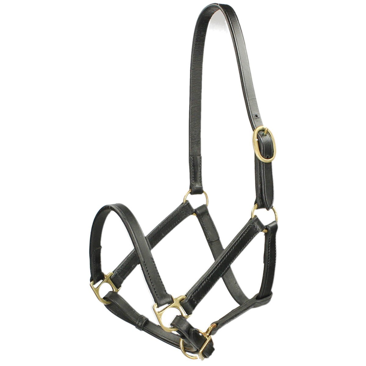 Cabezada para potro ideal para el manejo diario de ponis