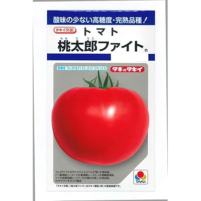 ��̥ȥޥ� �� �� ����Ϻ�ե����� �ģ� �� ��� ����