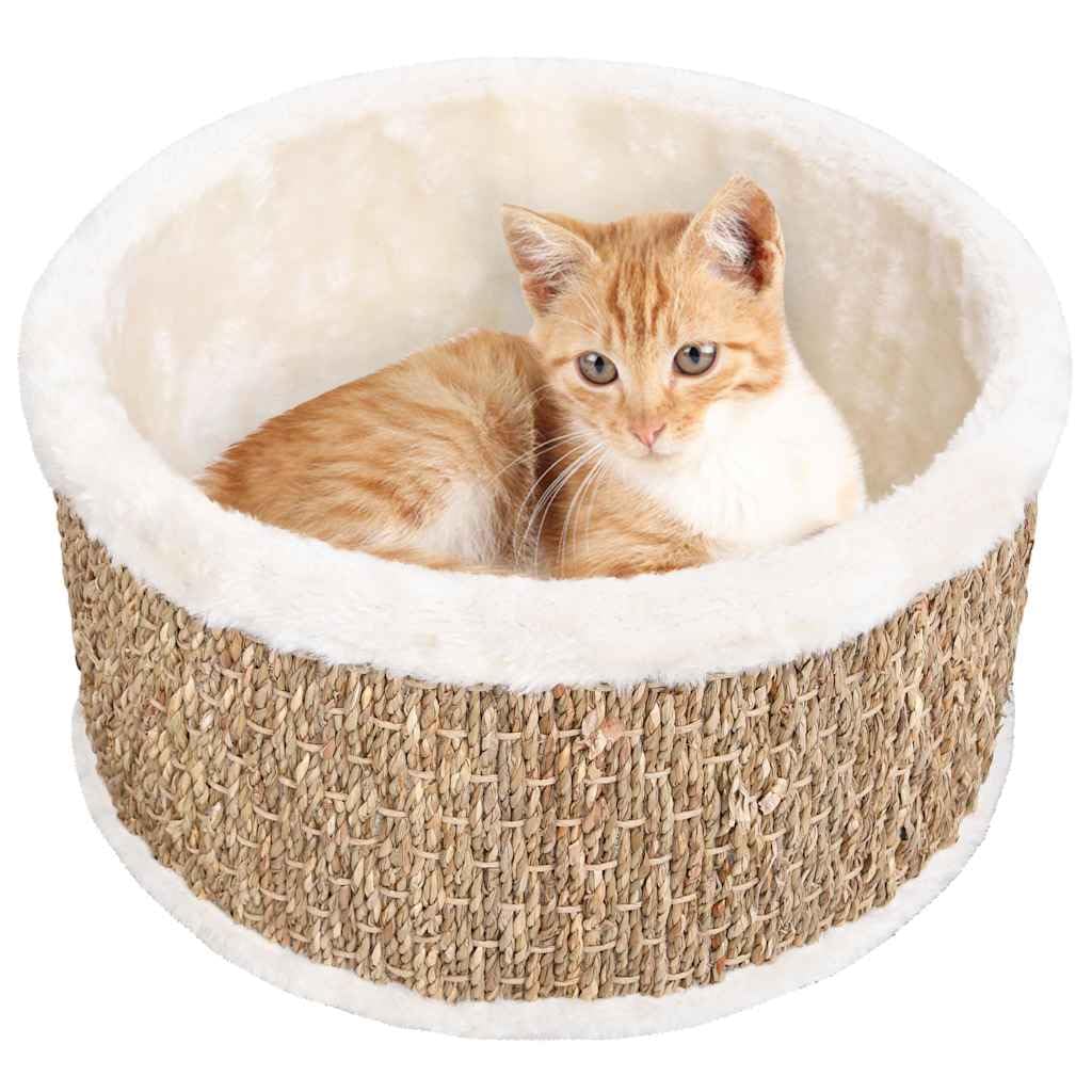 Katzenkorb Rund 36 cm – Katzenbett mit Seegras Kratzfläche und ultraweichem Plüsch, Gemütlicher Schlafplatz für Katzen, Stabiles Katzenzubehör, Beige