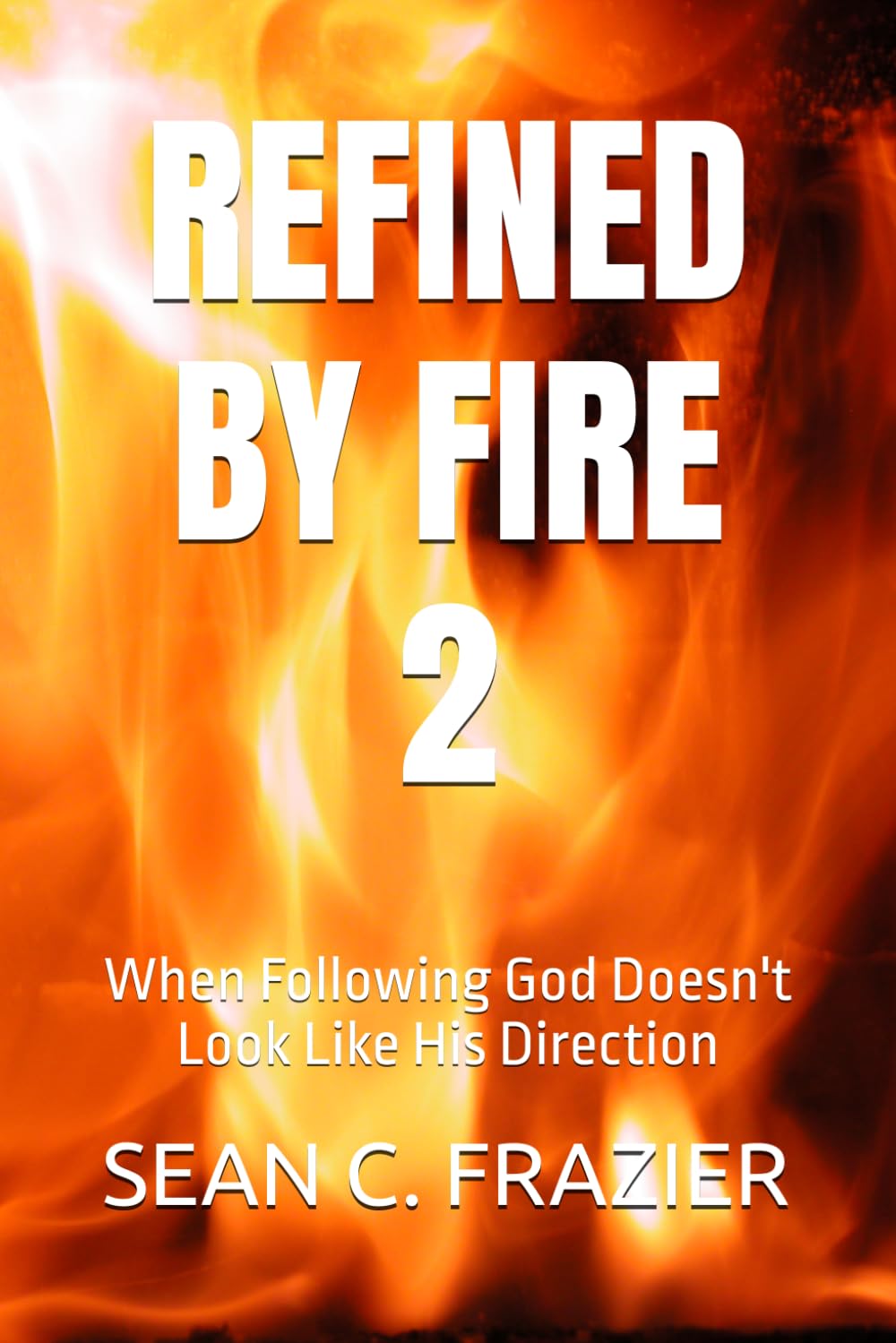 REFINED BY FIRE 2: When Following God Doesn't Look Like His Direction (FIRE SERIES)