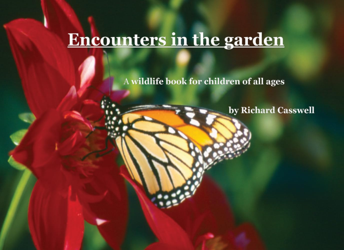 Encounters in the garden      Paperback – Large Print, July 12, 2025