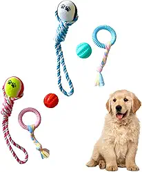 Brinquedo Pet para Cães, Kit 3 Peças, Corda com Bola, Corda com Argola e Bola Porta Petisco, Disponível em Rosa e Azul (Azul)