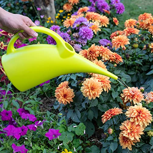 Mylifeunit Plastic Watering Can, Elegant Watering Pot, 1/2-Gallon (Green) #TOP6