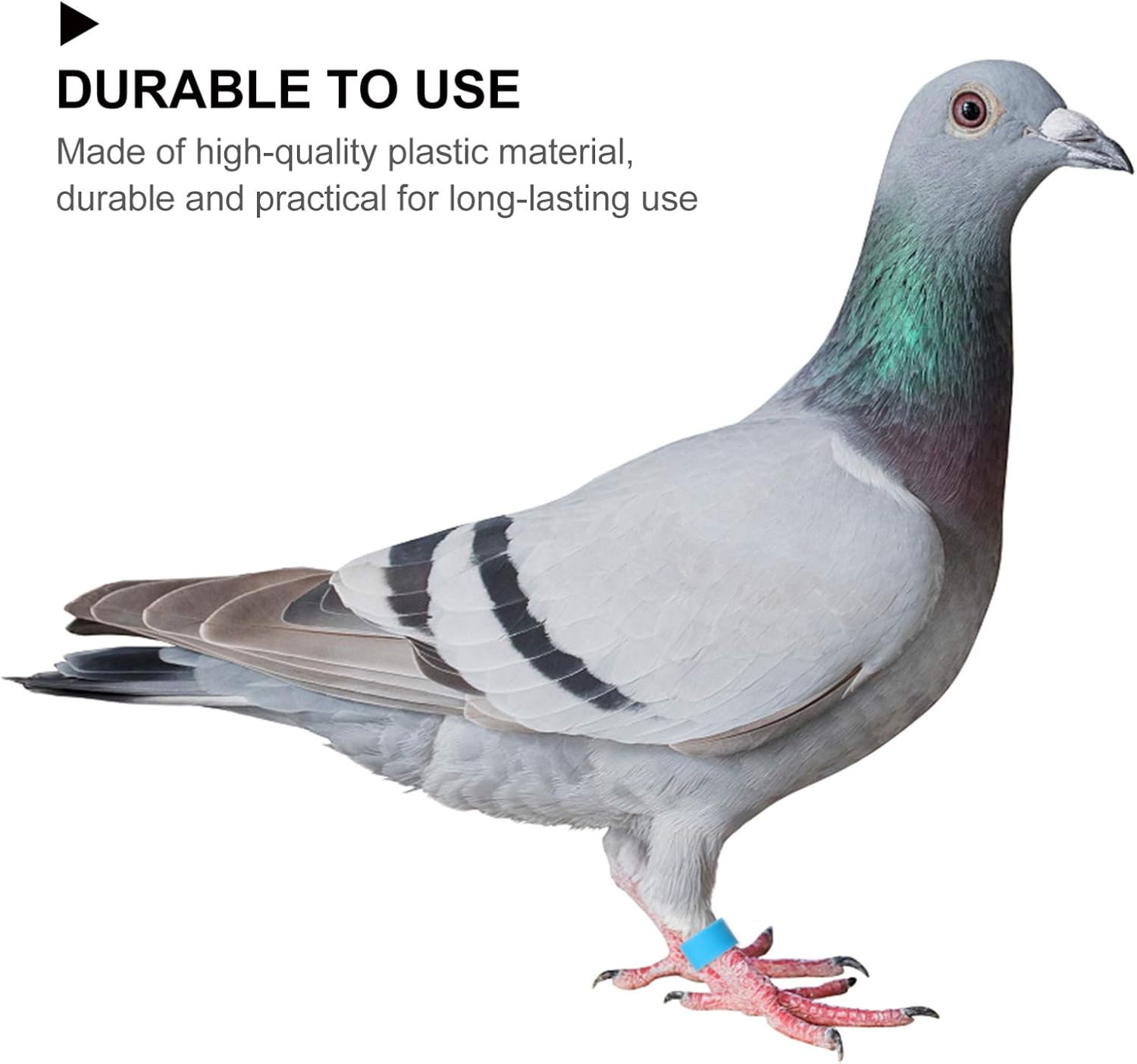 EXCEART Chicken Legs 100 Pcs Bird Rings Pigeon Foot Rings Plastic Multi- Colour Pigeon Foot Bands Clip on Multi- Color Leg Rings for Chicks Bantam Finch Dove Lovebird Quail Small Poultry Ringd