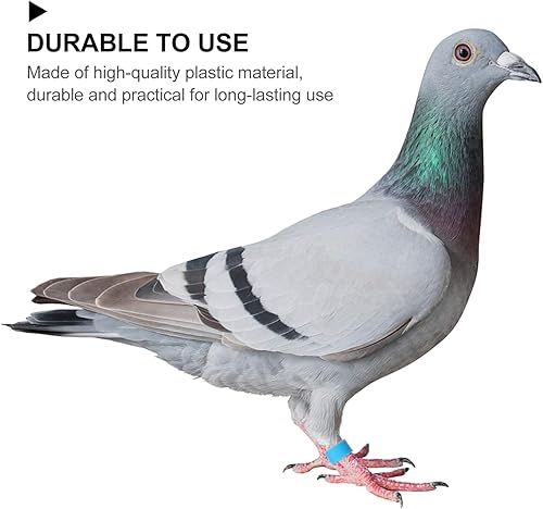 Miniatura 3 de EXCEART Patas de pollo, 100 unidades, anillos de pájaro, anillos de pie de paloma, anillos de plástico multicolor para patas de paloma, anillos de