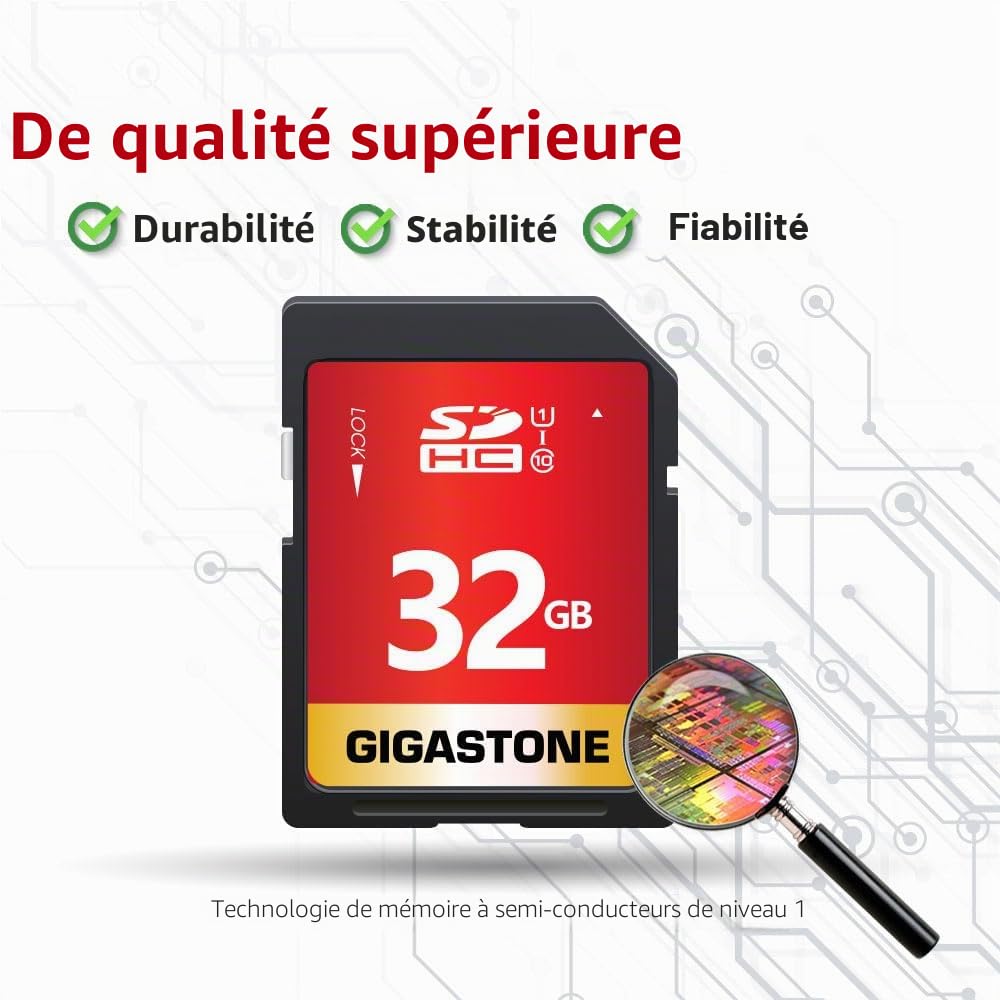 GIGASTONE 32Go SDHC Carte Mémoire, Lot de 5 Cartes, Prime Série, Vitesse jusqu'à 80 Mo/s. pour Photos, vidéos, Musique, fichiers, Caméscope, Caméra, PC, Classe 10 U1 UHS-I, avec 5 Mini étuis