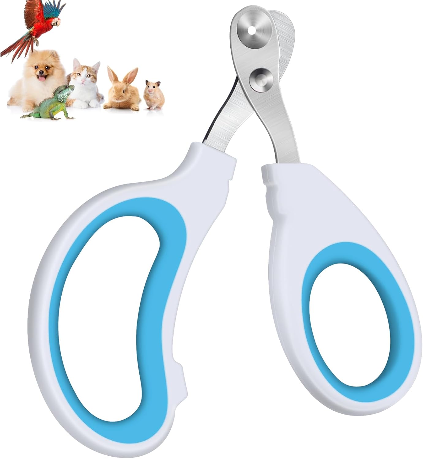 Siringa Alimentatore Pillole Per Cani E Gatti - Verde, Per Medicinali E Capsule