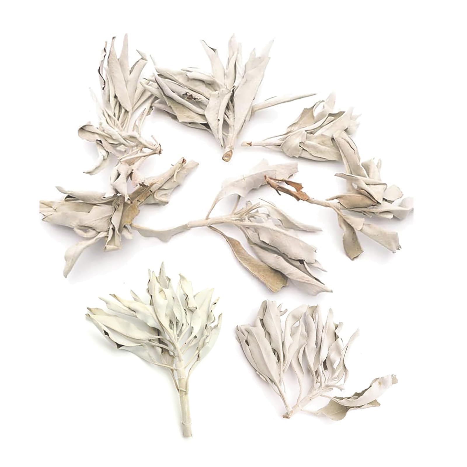ホワイトセージ 枝付き クラスター 無農薬 カルフォルニア産 white sage 浄化用 無選別 天然乾燥 ホワイトセージ スマッジング 浄化・瞑想・ヨガ・インテリア用 (重さ約 100g)