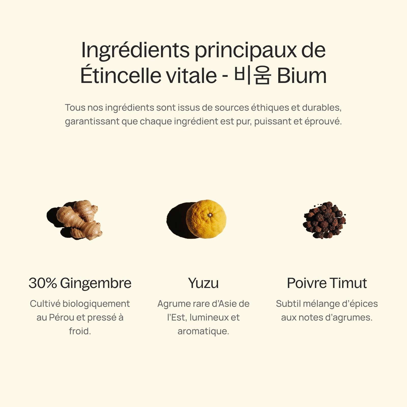 ZENGER – Élixir de Gingembre Bio Premium 700 ml Concentré de Gingembre Naturel | Sans Alcool | Pour Rituels de Thé, Mocktails & Bien-être Quotidien (Vital Spark BIUM)