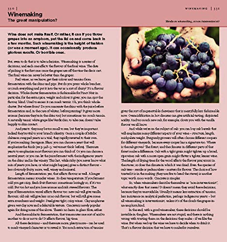 Hugh Johnson Pocket Wine 2020: The no 1 best-selling wine guide