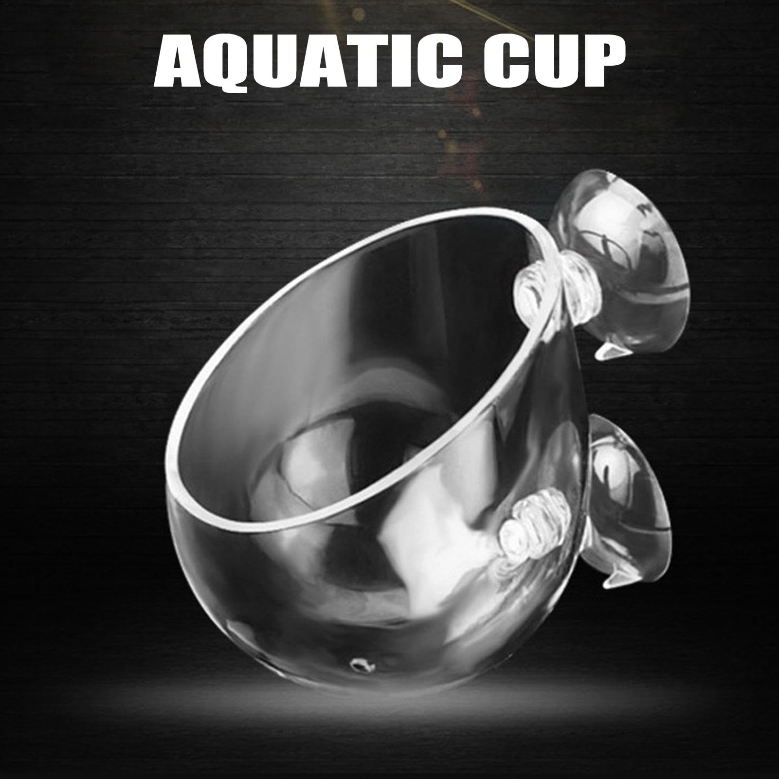 Amazon.co.jp: 吸盤プランター、観葉植物ホルダー クリア,吸盤付き水生