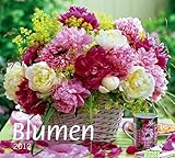  tm Bildkalender Blumen 2012