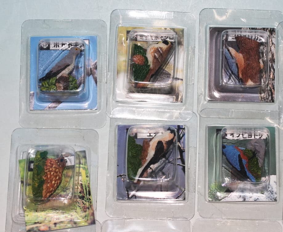 Amazon.co.jp: カバヤ 日本の小鳥 第2集 彩色フィギュアコレクション