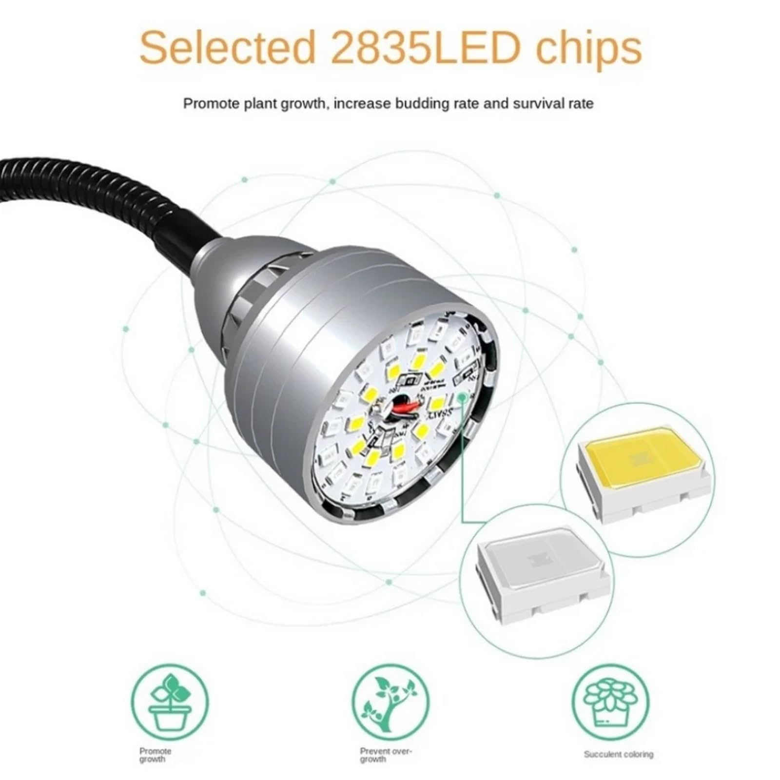 Lampada LED for la crescita a spettro completo 5V USB con staffa for piante da interno, fiori, piantine, tenda VEG, lampada fito,Risparmio energetico(2 head)