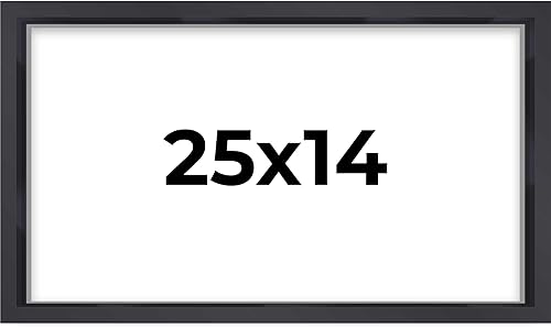 Marco de caja de sombra de 14 x 25 pulgadas, color negro contemporáneo, profundidad de espacio utilizable, pantalla vertical u horizontal, tamaño