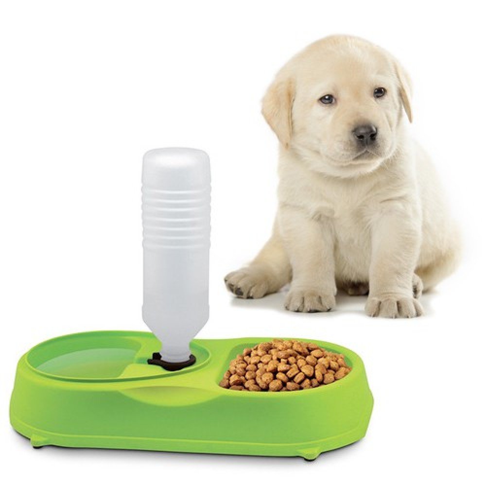 Lifestyle-You Automatic Pet Feeder Food Water Refilling System Cat Dog Feeding (B016QLV87K) Amazon Price History, Amazon Price Tracker