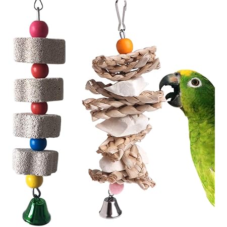 conure toys amazon