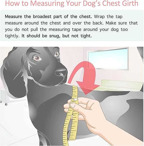 Miniatura 6 de ChoChoCho Elegante sudadera con capucha para perro, ropa de calle, sudadera de algodón, traje de moda para perros, gatos, cachorros, pequeño,