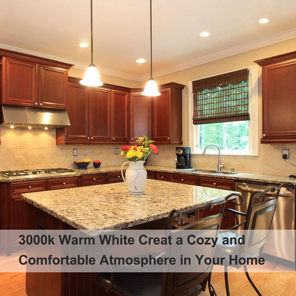 H&Z PAR20 Flood 39W 120V 480 Lumens, High Output 6 Pack 39W PAR20 Halogen Bulb (Equivalent PAR20 50W Halogen Bulb), Long Lasting PAR20 Flood 39W 120V with 3000K Warm White, PAR20 E26 Dimmable