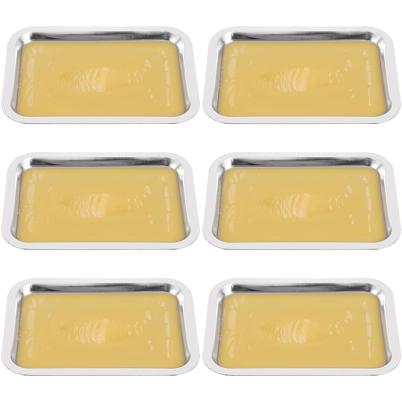 iplusmile 6 Set Dissection Pan with Wax, 10.2" x 7.5" Reusable Thicken Stainless Steels Dissection Kit for Laboratory Science Education & Medical Students Experiments