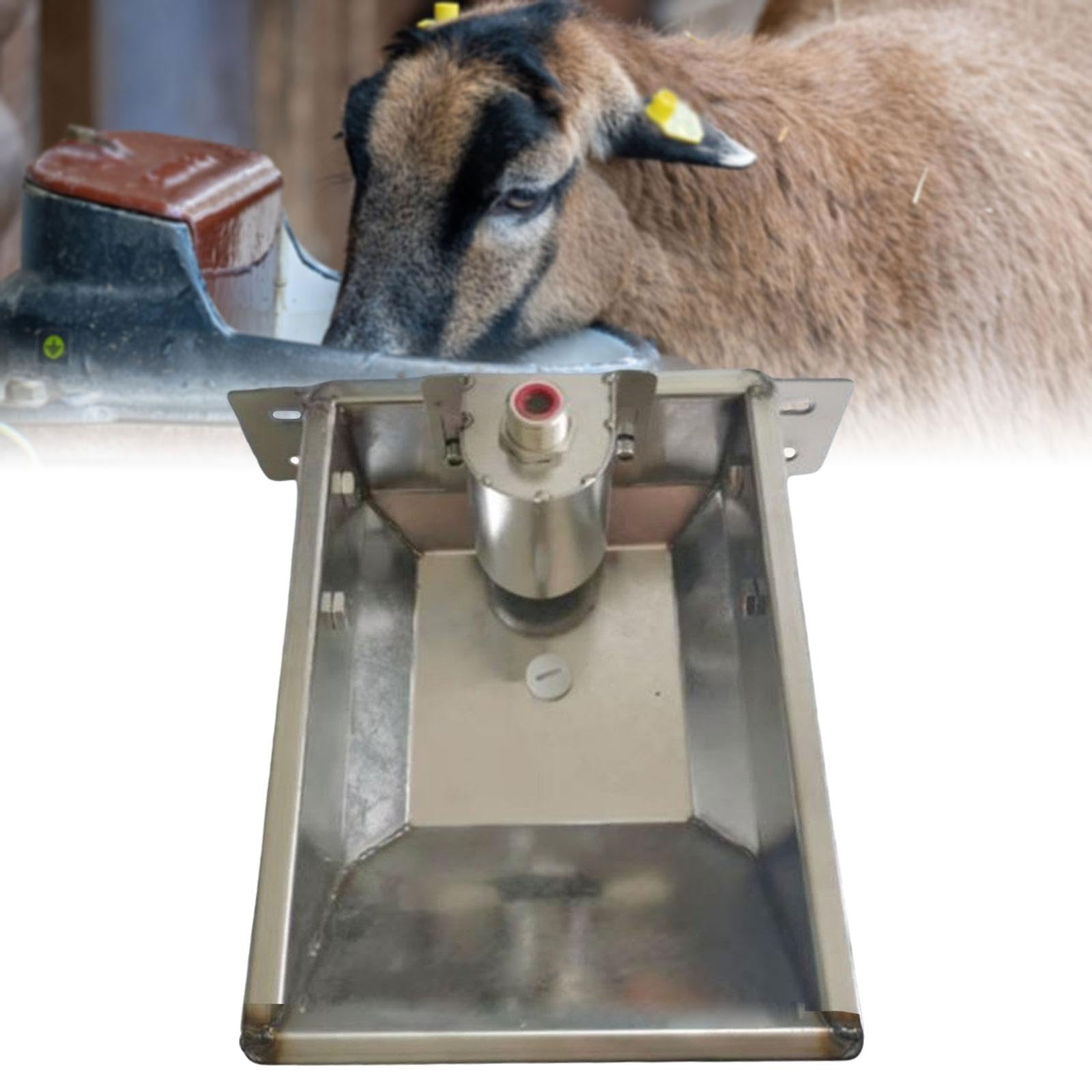 Abreuvoir Automatique pour Animaux, Abreuvoir pour Bétail Distributeur d'eau en Acier Inoxydable, pour Aux Chiens Et Chèvres, Moutons, M 31cmx26cm