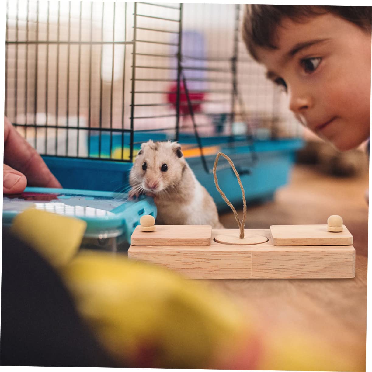 Milisten 2stücke Hamster Futtersuchspielzeug aus Holz Kompaktes Leckerli-Spielzeug Strapazierfähiges Chinchilla-Spielzeug für Haushalt Hamsterspielzeug Futtersuchspielzeug