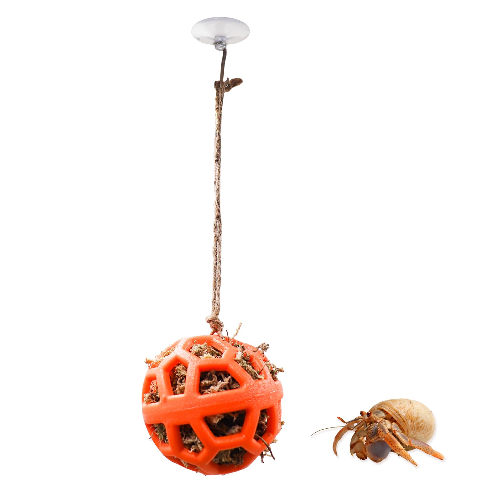 Hermit Crab Tank Accessories & Feeder - Fruit & Veggie Food Ball, Reptile Toys