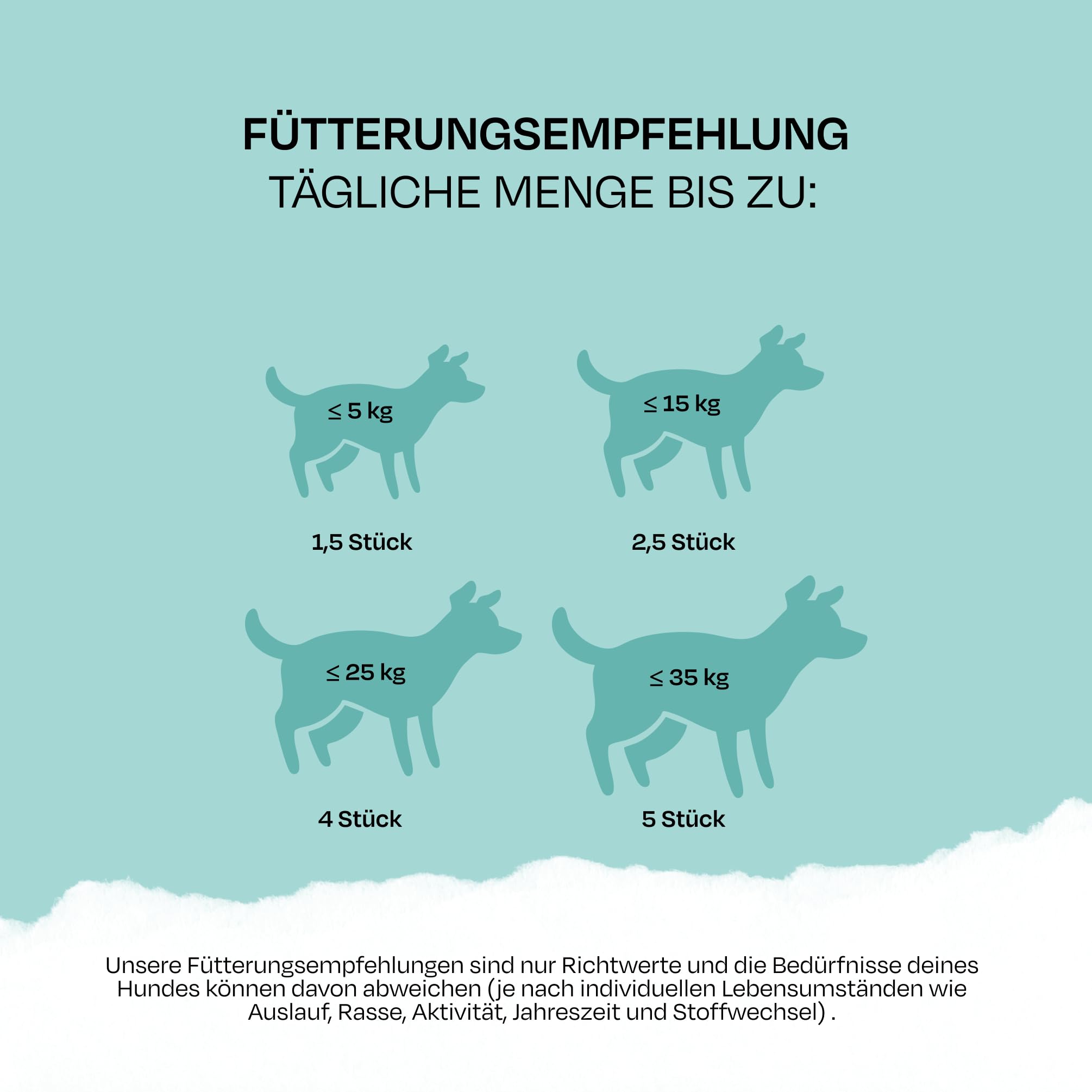 VEGDOG Dentals XL hypoallergene Kausticks für große Hunde (12 x 100 g) | fettarmer Kauspaß für gesunde Zähne | Zahnpflege für Allergiker mit Kartoffel und Tapioka