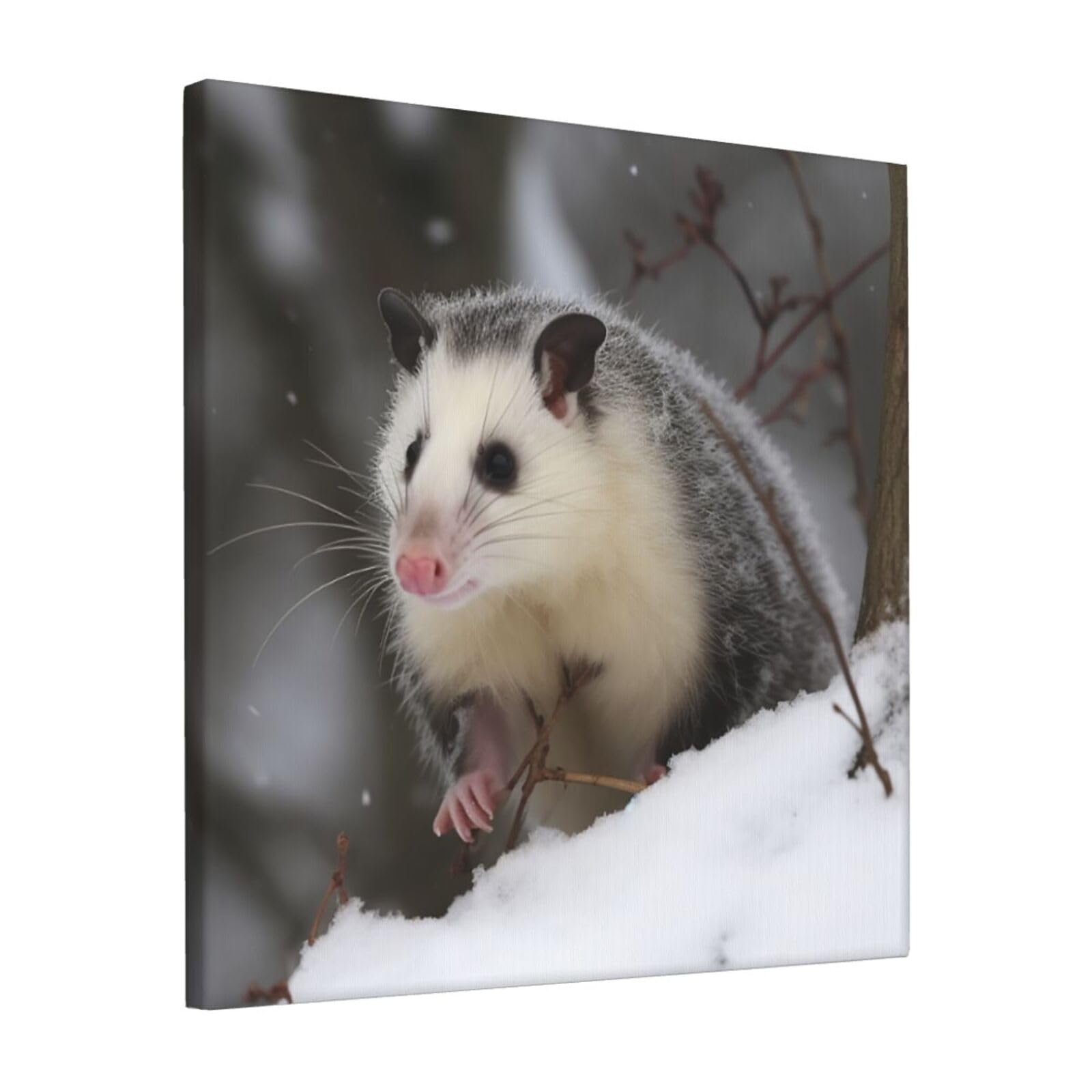 FodPand Opossum In Snow Canvas Wall Art for Living Room Wall Decor 12"x12" Modern Artwork Painting Pictures Hanging Canvas Prints Aesthetic Wall Art for Bedroom Bathroom Office Wallart Decor