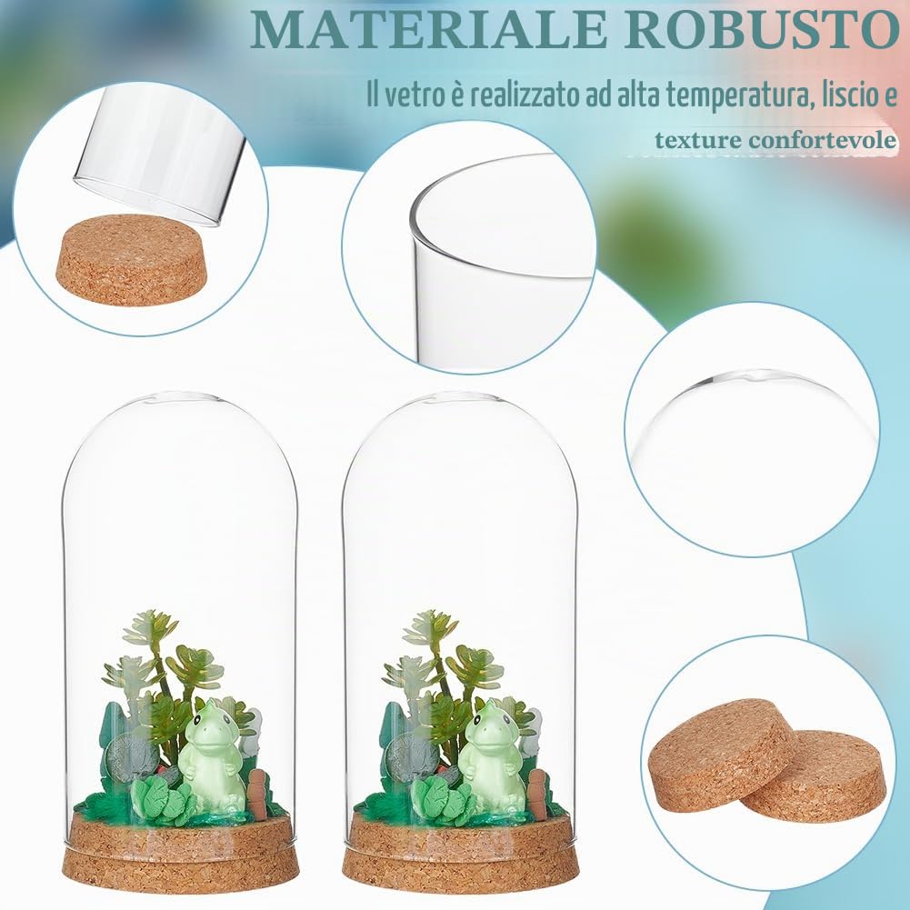 BENECREAT 2 set Cupola per Display In Vetro Da 80x160 mm/3.15x6.3 pollici con Base, Cupola Decorativa con Coperchi In Sughero, Campana A Cloche per Piante Da Fiore, Esemplari,Interno: 74.5mm