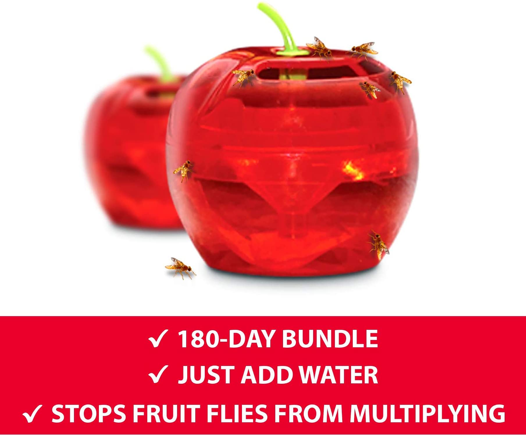Buy Raid Fruit Fly Trap Bundle Fruit Fly Traps for Kitchen, Fly Trap