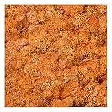 Gift_Source 1.4oz Fake Moss Artificial Moss Floral Decorative Preserved Reindeer Moss Craft Moss for