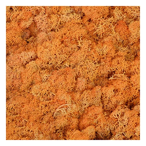 Gift_Source 1.4Oz Fake Moss Artificial Moss Floral Decorative Preserved Reindeer Moss Craft Moss For Potted Plants, Terrariums Gardening, Wall Art, Floral Project, Wedding, Centerpieces Decor #TOP28