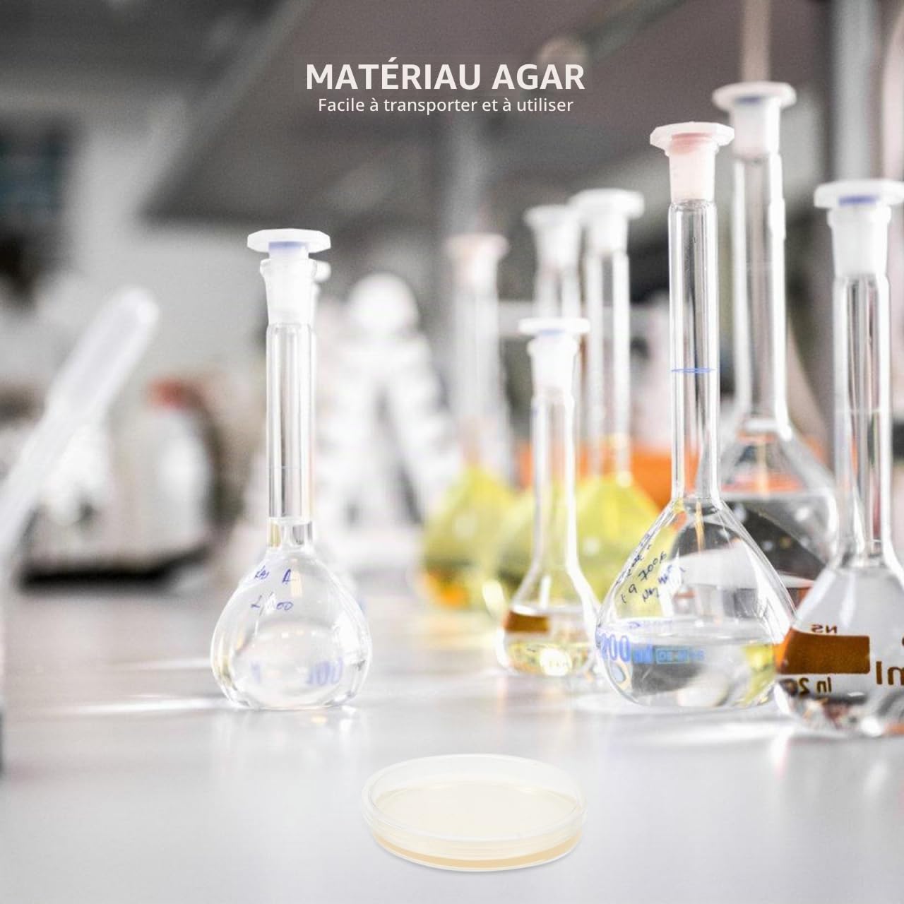 Mipcase Plaques D'agar Lb Prêtes À L'emploi 9cm - 10 Pièces Pour Cultures Microbiennes IdéAles Pour Laboratoires Et Projets Scientifiques