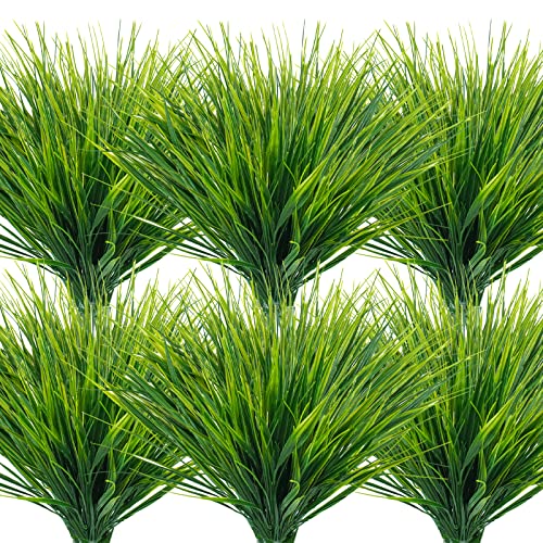 The Best Decorative Grasses for Your Home