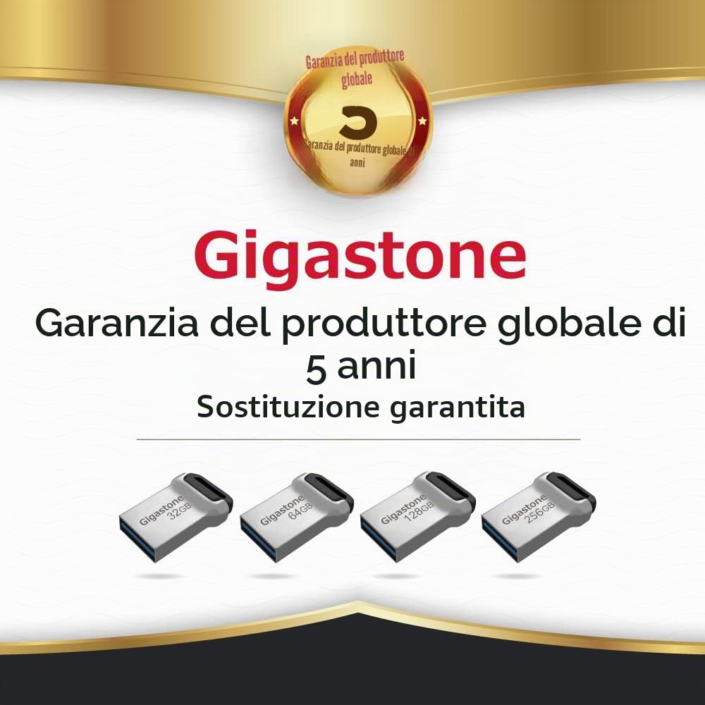 Gigastone 128 GB Chiavetta USB 3.1, Z90 Serie, Velocità e prestazioni affidabili, Ideali per PC Computer Mac, Compatibile con interfaccia USB 2.0/3.0/3.1, Impermeabile in metallo, Mini e robusto