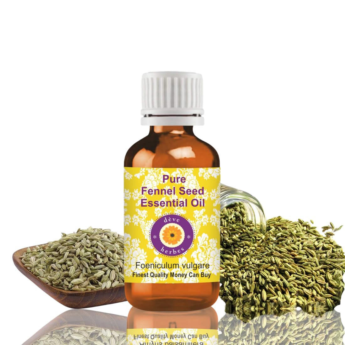Deve Herbes Fennel Seed Essential Oil (Foeniculum vulgare) Pure | Non-Sticky | Non-greasy | Lightweight | Men & Women | All Skin Types | Steam Distilled 15ml-picture-49