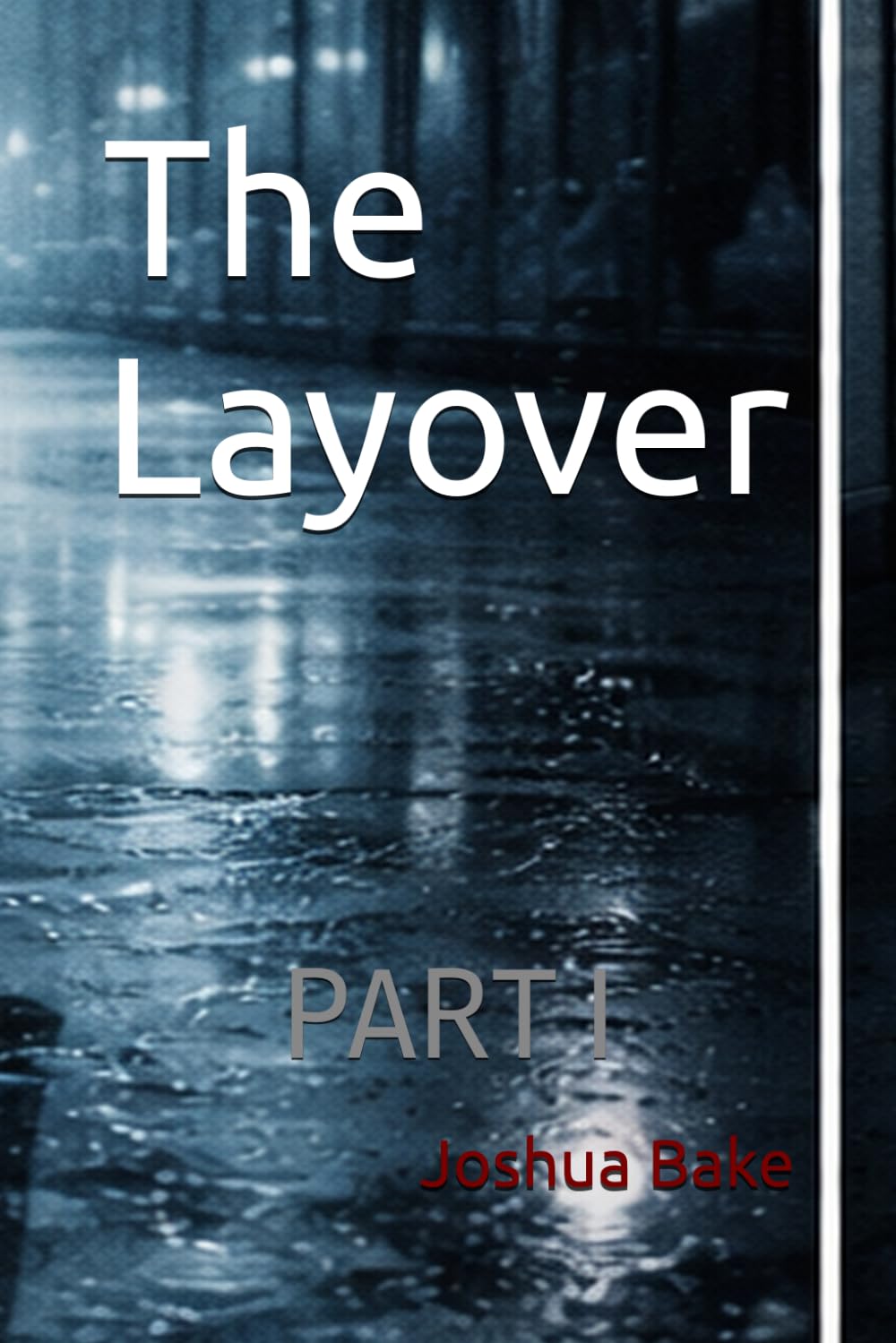 The Layover: The airport never sleeps. It just stops paying attention. PART I