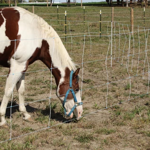 Miniatura 3 de Red eléctrica para caballos 48" x 164' Portable Trail & Show Fence
